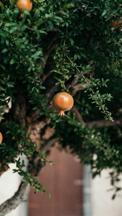 Puleera Boutique Hotel Giarre Εξωτερικό φωτογραφία